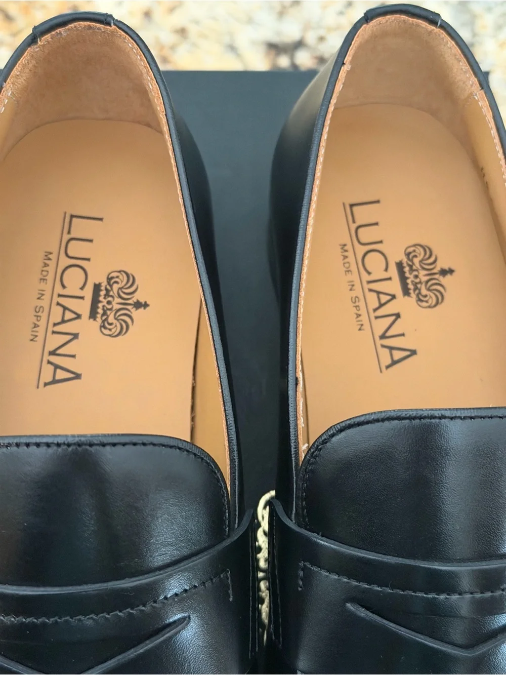 Men's Black Leather Luciano Penny Loafers